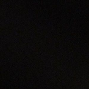 Meet your Posher, Tavis